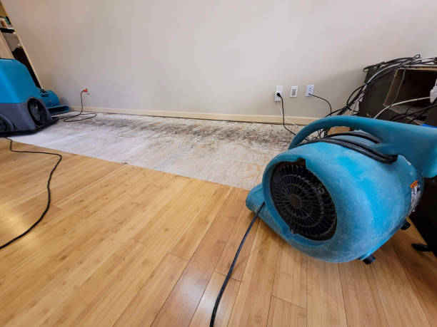 Professional Flood Damage Cleanup technician working in Mount Ulla, NC